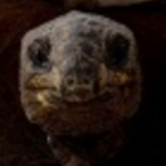 Profile photo of mikaylia